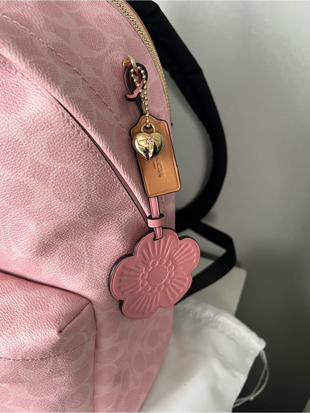 Coach Taylor Backpack In Powder Pink Color - Picture 6 of 13